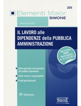 LAVORO ALLE DIPENDENZE DELLA PUBBLICA