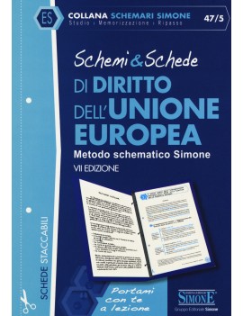 SCHEMI E SCHEDE DIRITTO DELL'UNIONE EURO