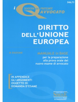 DIRITTO UNIONE EUROPEA