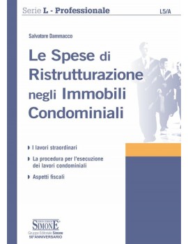 SPESE RISTRUTTURAZIONE IMMOBILI CONDOMIN