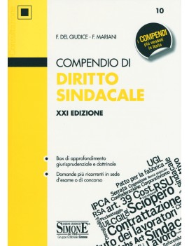 COMPENDIO DIRITTO SINDACALE