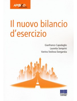 NUOVO BILANCIO D'ESERCIZIO (IL)