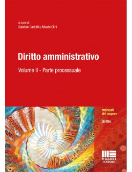 DIRITTO AMMINISTRATIVO. parte processual