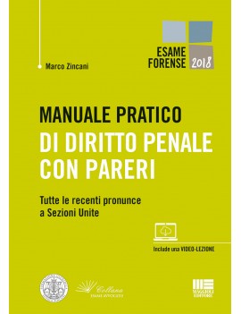 MANUALE pratico DIRITTO PENALE CON PARER