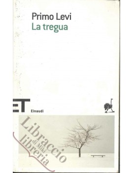 TREGUA