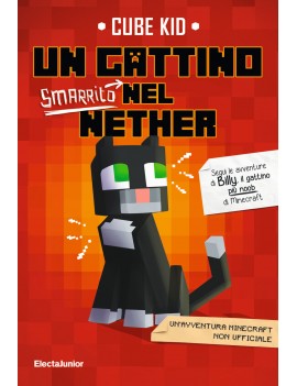 GATTINO SMARRITO NEL NETHER