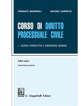 VE CORSO DI DIRITTO PROCESSUALE CIVILE