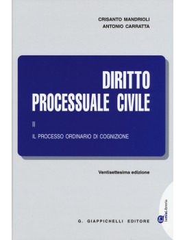 2019 DIRITTO PROCESSUALE CIVILE  2