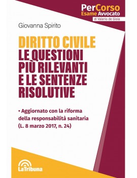 DIRITTO CIVILE LE QUESTIONI PIU' RILEVAN