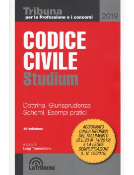 VE CODICE CIVILE 2019 STUDIUM