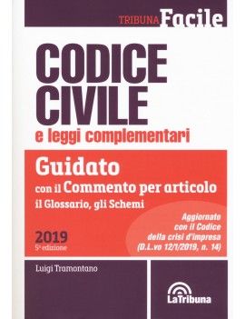 VE CODICE CIVILE 2019 guidato commento a