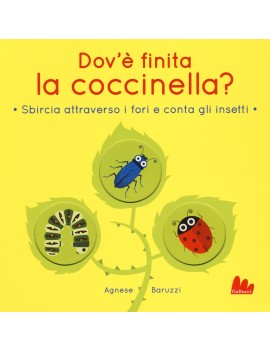 DOV'È FINITA LA COCCINELLA? SBIRCIA ATTR