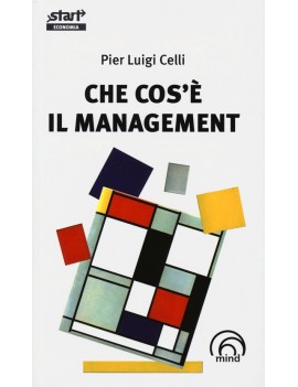 CHE COS'? IL MANAGEMENT. DIVAGAZIONI INA