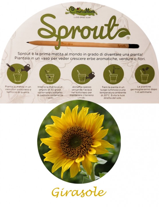 SPROUT - MATITA GIRASOLE PIANTABILE