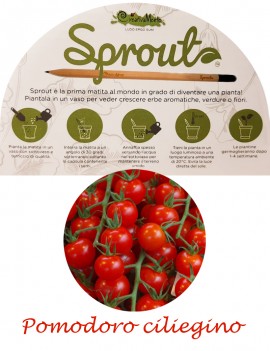 SPROUT - MATITA POMODORO CILIEGINO PIAN