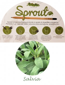 SPROUT - MATITA SALVIA PIANTABILE